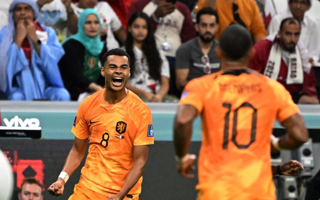 Holanda vence Qatar e avança às oitavas como líder do Grupo A